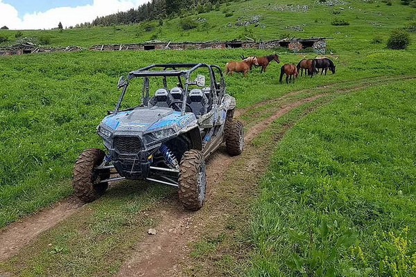 One-Hour Quad Safari in Borovets