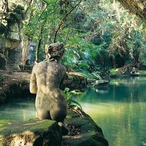 Experience Image
