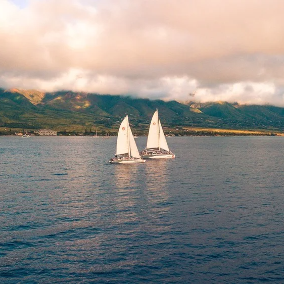 Maui Sunset Sail