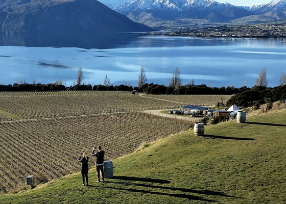 Taste of Wanaka Wine Tour