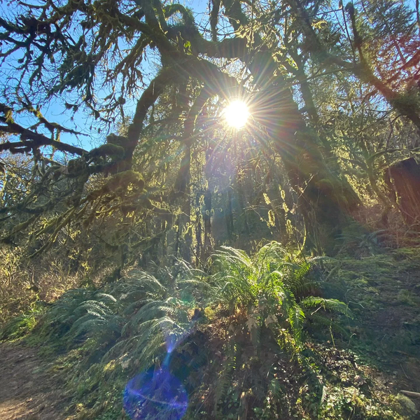 Experience Image