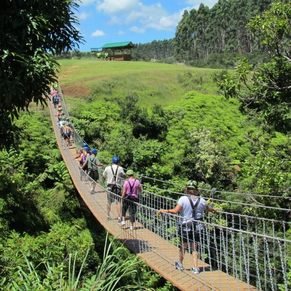 Umauma Falls Zipline Tour