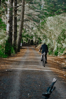 Remutaka Rail Trail Mountain Bike Explorer