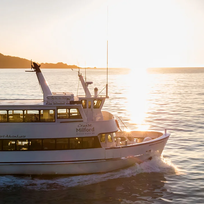 Small Group Tour, Cruise, and Picnic Lunch from Queenstown