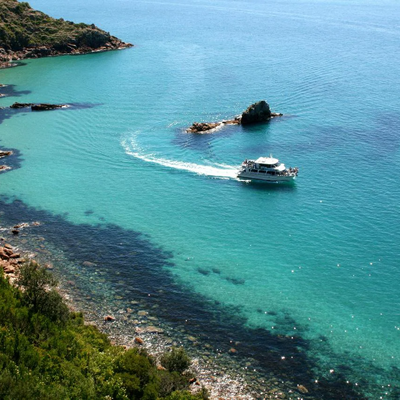 Cape Cruise