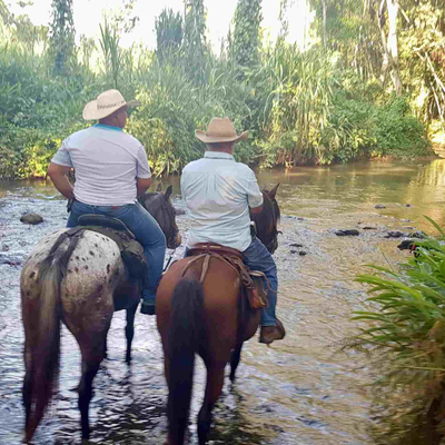 Horseback Ride through a River