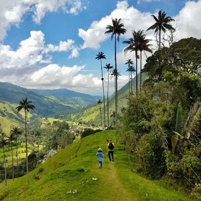Private Hiking Acaime – Cocora Valley