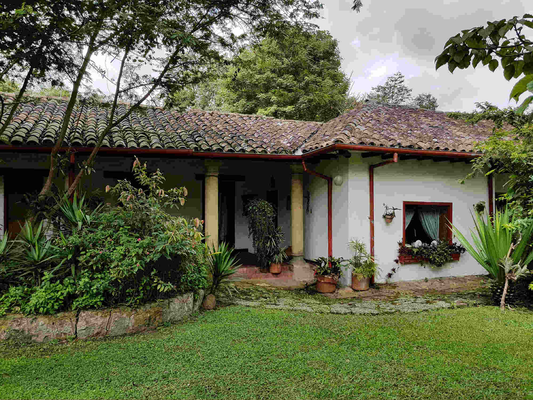 Hacienda Coloma Coffee Day Tour in Fusagasugá from Bogotá