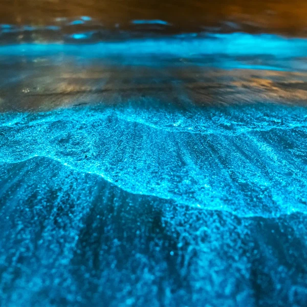 Experience Image