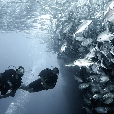 Scuba Diving La Corbeteña