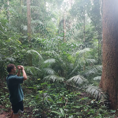 Rainforest and Waterfall Hiking Half Day