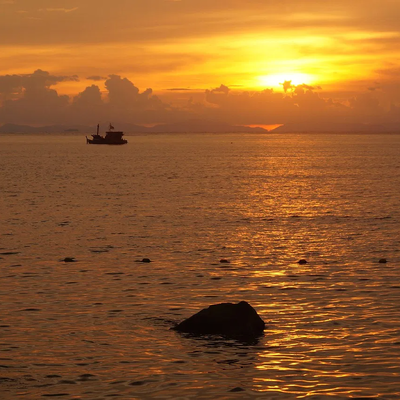 Lazy Day Phi Phi Sunset Tour by Speedboat