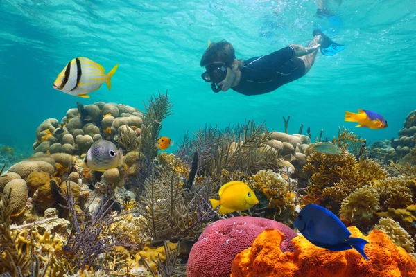 Rise and Reef Morning Snorkel