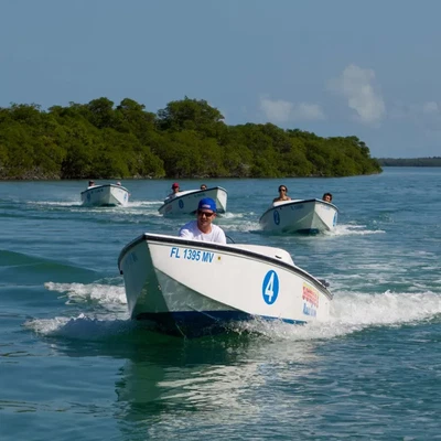 Self-Drive Eco Safari Boat Tour