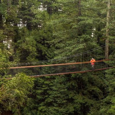 Rotorua Tour with Wai-O-Tapu and Redwoods Tree Walk
