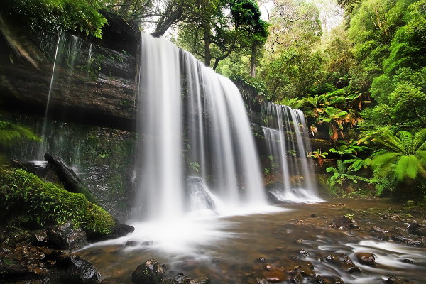 Russell Falls with Bonorong Wildlife Sanctuary
