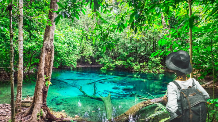 Private Tiger Cave Temple, Emerald Pool, and Hot Springs