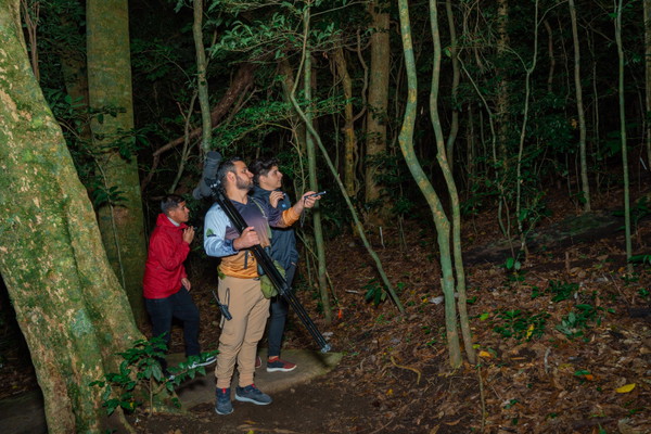 Monteverde Cloud Forest Night Walk Private Tour