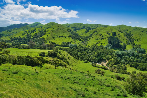 Full-Day Duder Regional Park Walking Tour