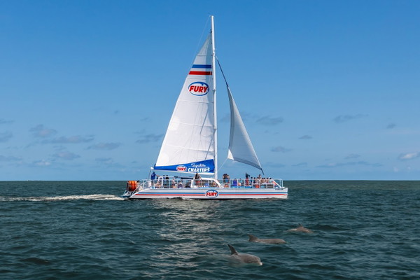 Dolphin Watch and Historical Harbor Tour