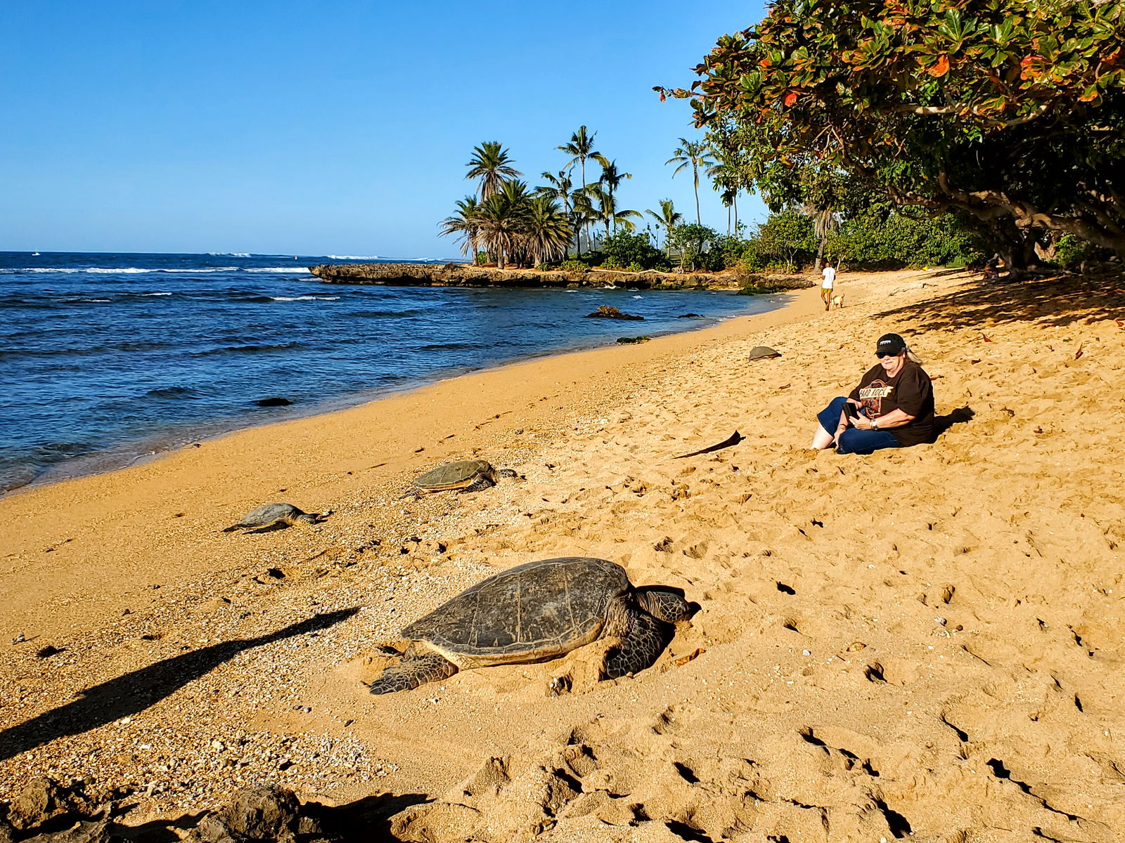 Oahu Private Convertible Tour