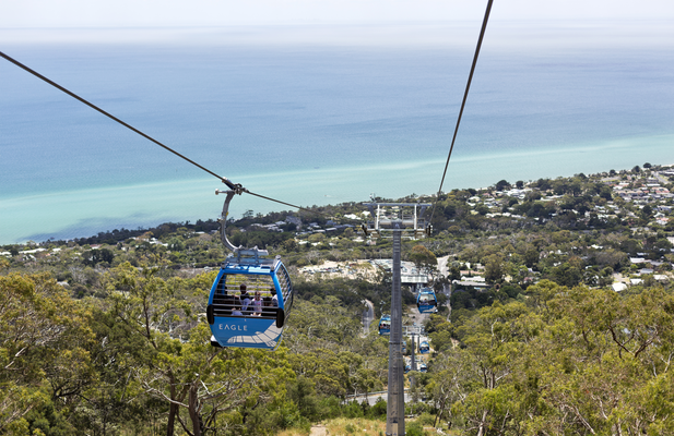 Mornington Peninsula Coastal Tour with Lunch