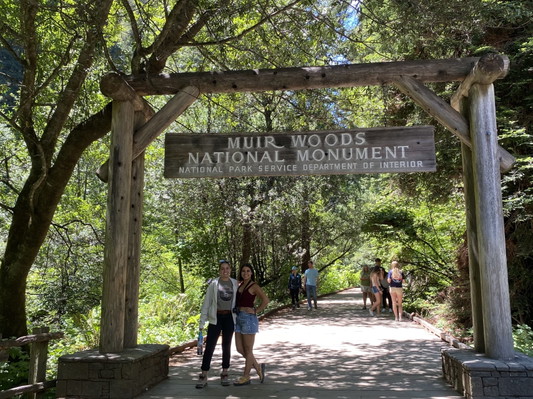 Ultimate City Tour Plus Giant Redwoods by Convertible Jeep