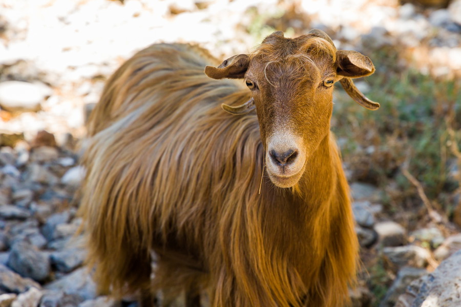 Experience Image