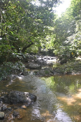 Hidden Waterfall Hike