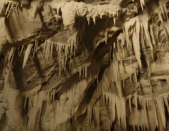 Experience Image