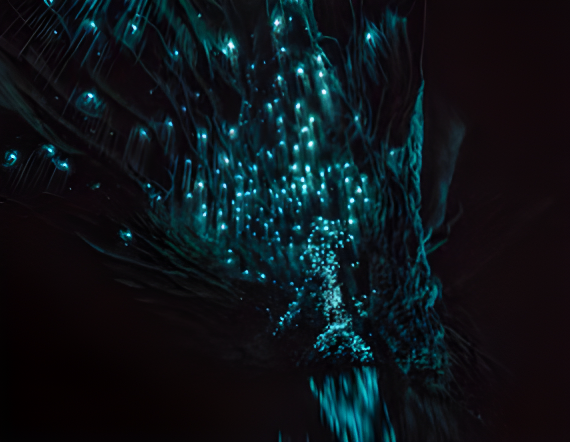 Experience Image