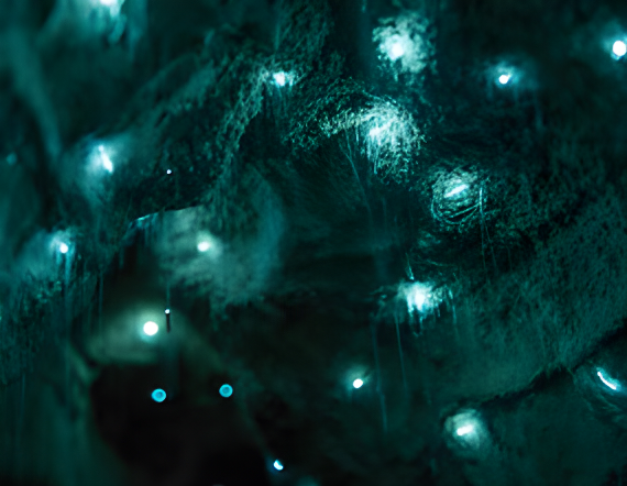 Experience Image