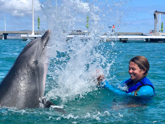 Dolphin Splash and Swim