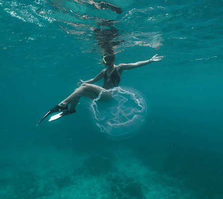 Lovango Snorkel Sail