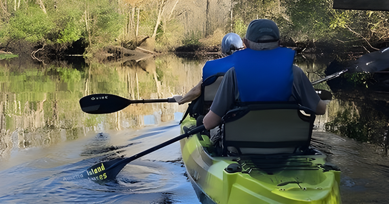 Eco Easy Guided Kayak Tour