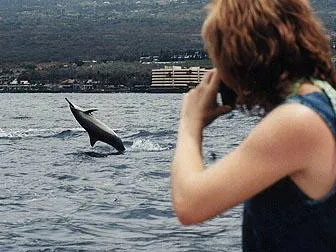 Experience Image