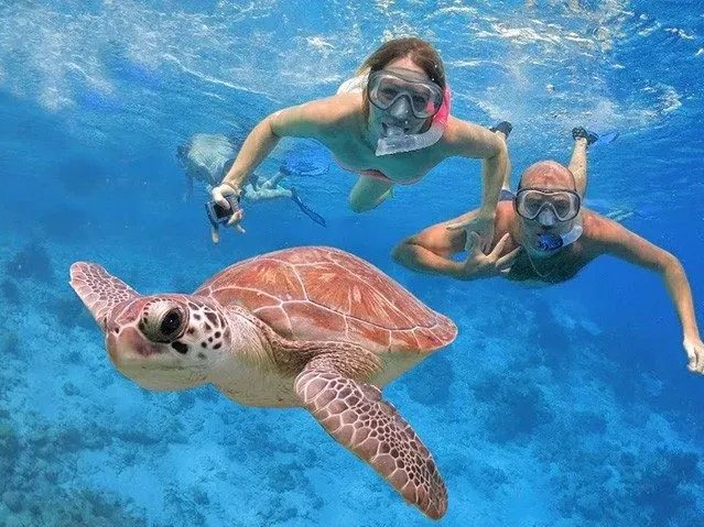 Experience Image