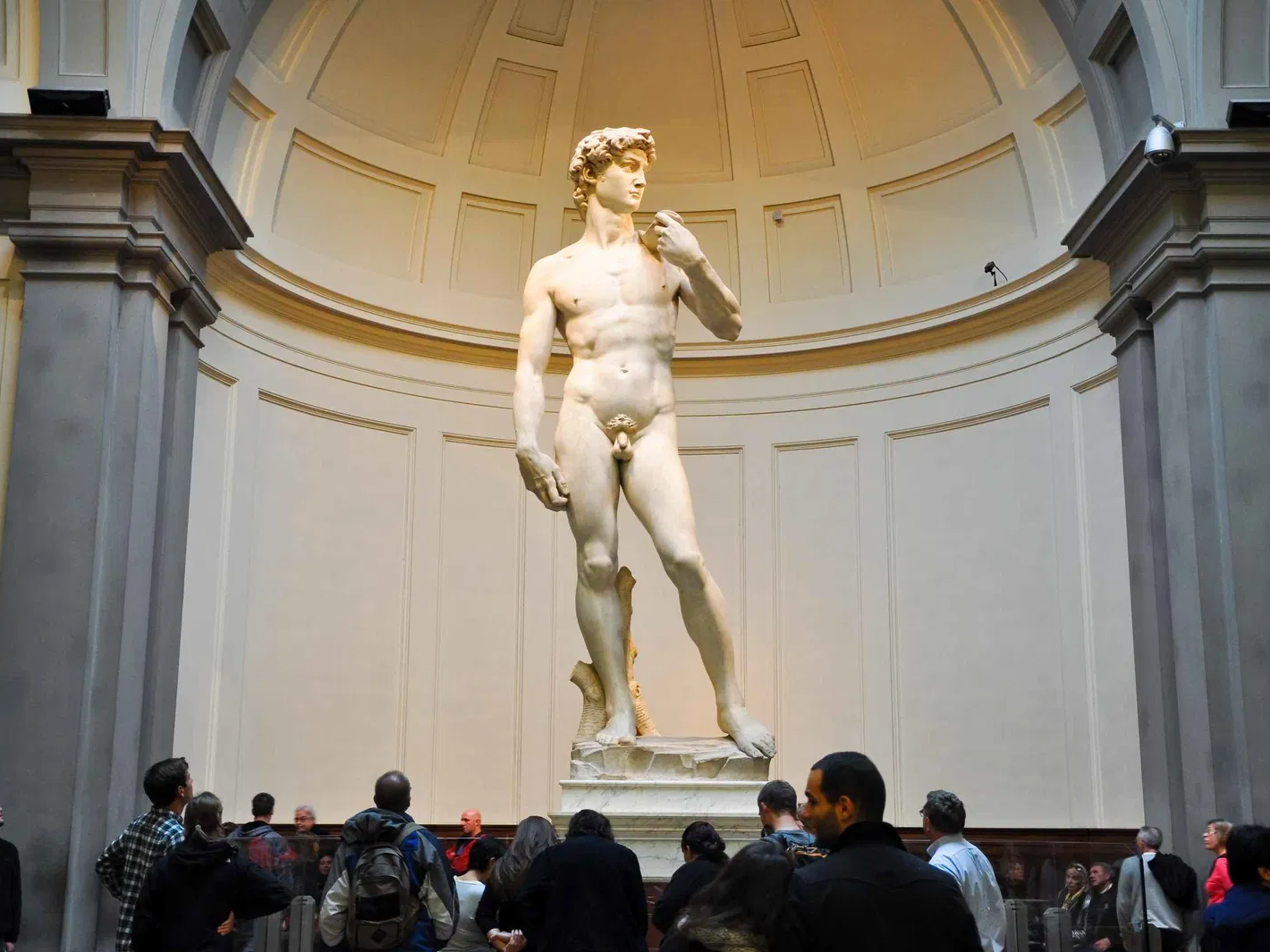 Michelangelo's David and Accademia Express Guided Tour