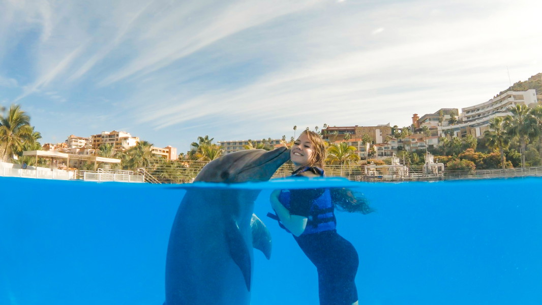 Experience Image