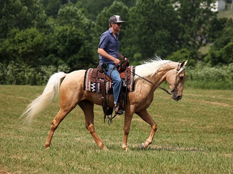 Experience Image