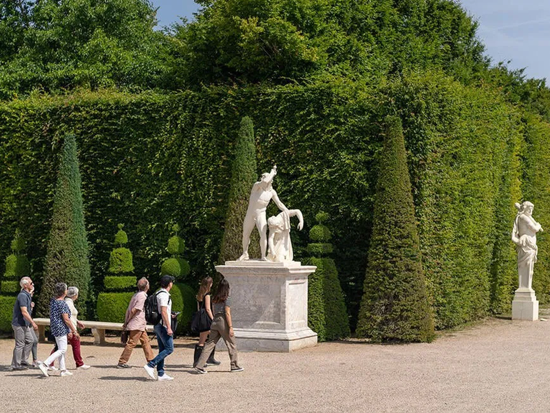 Experience Image