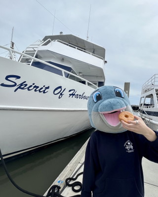 Donuts and Dolphin Cruise