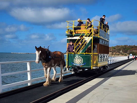 McLaren Vale, Victor Harbor and Port Elliot Day Tour