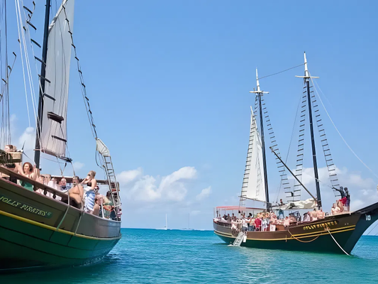 Afternoon Snorkeling Tour