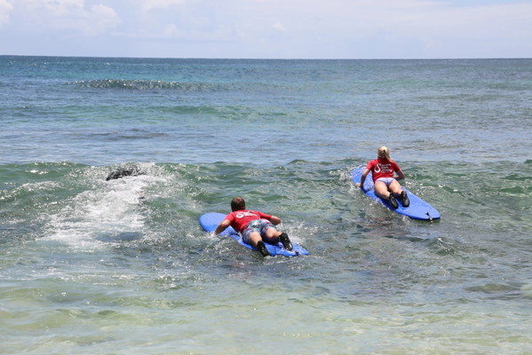 Ultimate Surf Lesson