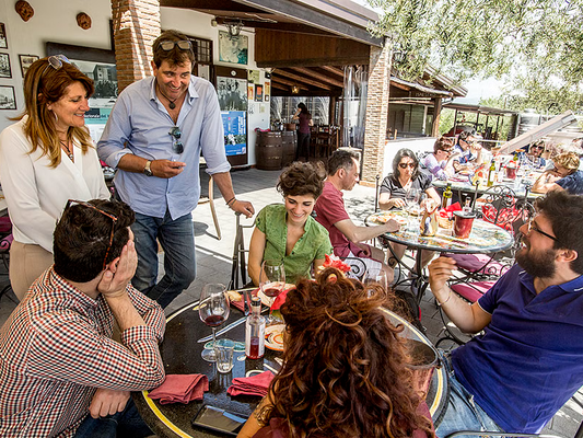 Wine Tasting and Lunch on the Slopes of Vesuvius from Naples