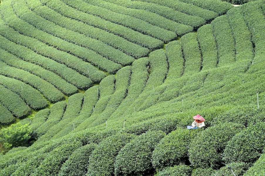 Experience Image