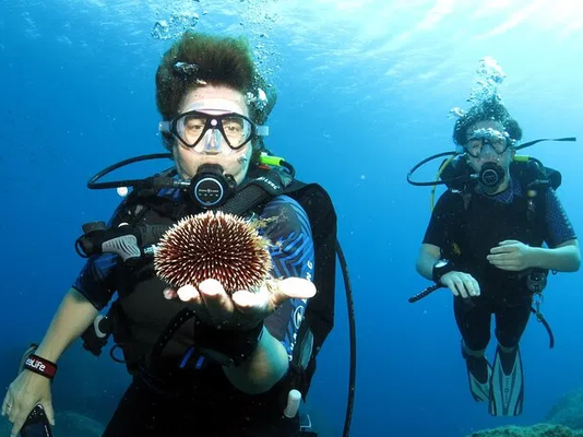 Private Discover Scuba Diving for Beginners with Pickup