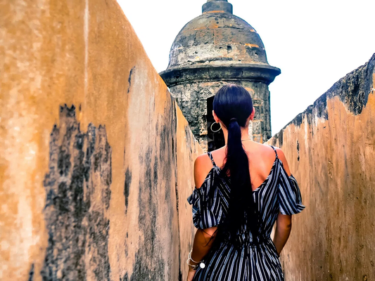 History Behind the Walls Walking Tour