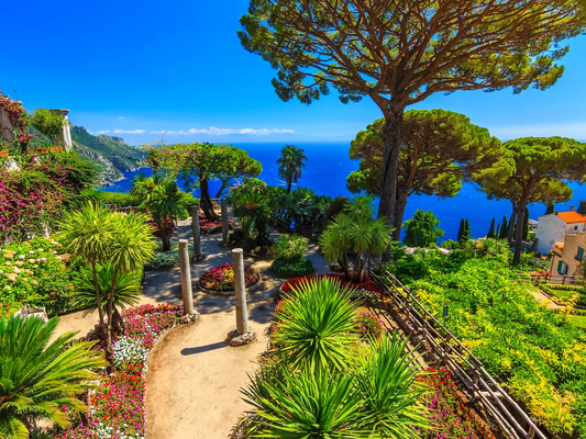Half Day Amalfi Coast Private Tour from Positano